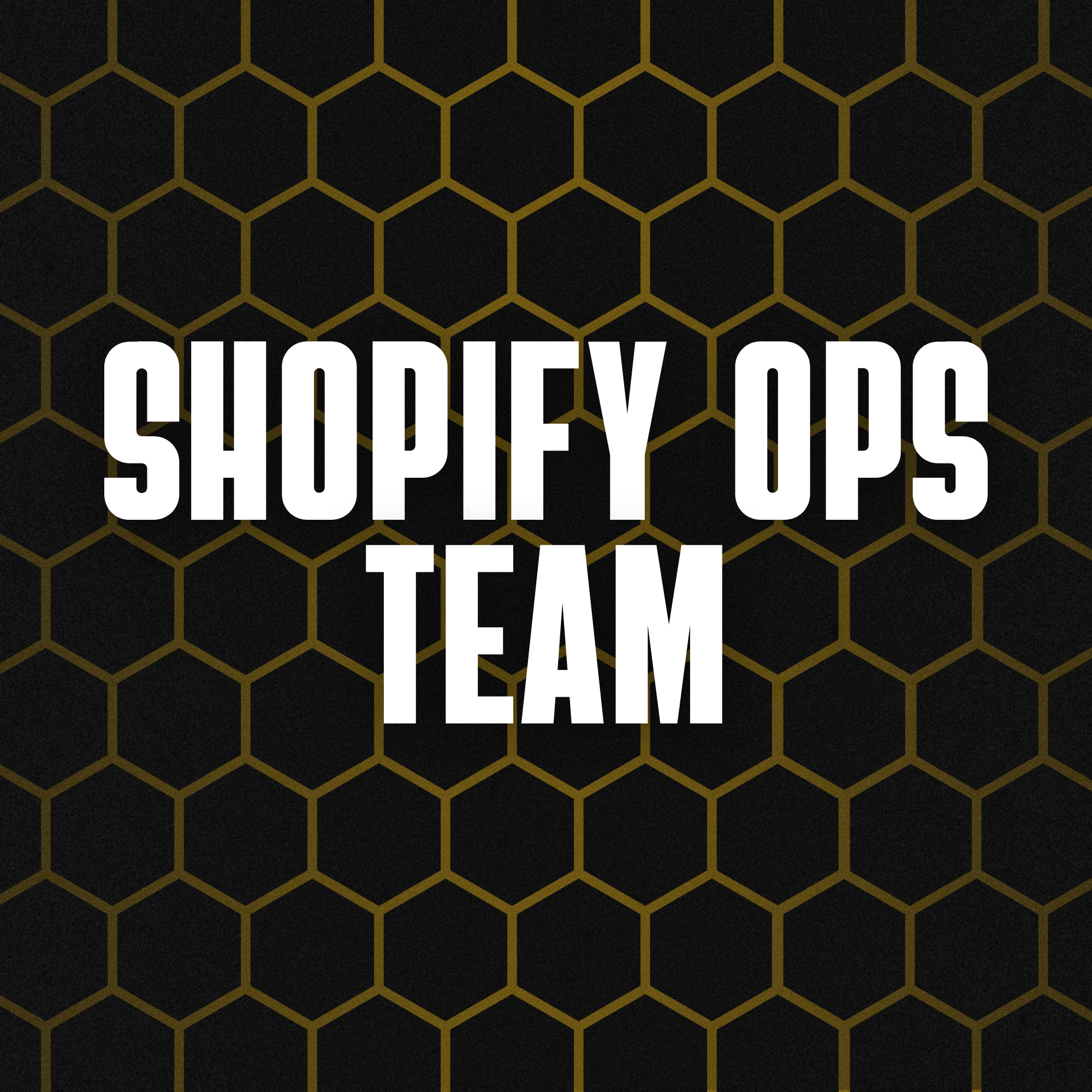 Shopify Ops Team