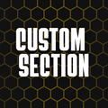 Custom Section
